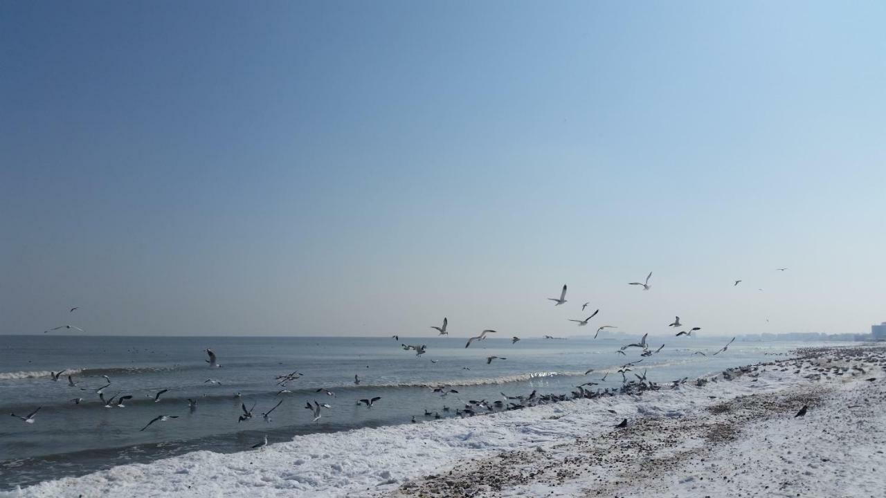 Bluemarina Apartamente Mamaia Εξωτερικό φωτογραφία